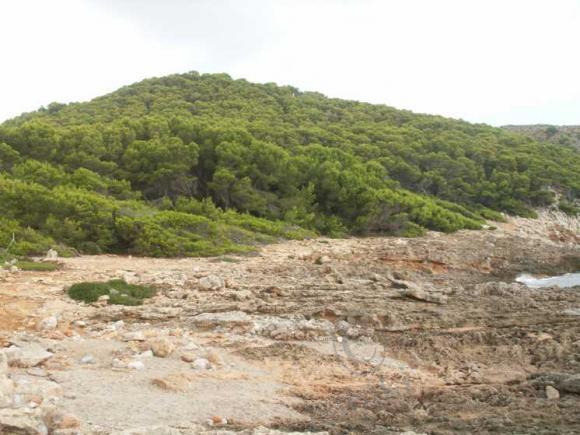 Еще раз о Майорке — Туризм и путешествия: фотоотчеты из поездок