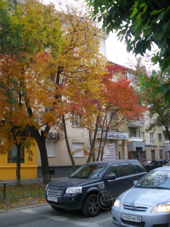 Несколько коротких мгновений, или Есть в осени первоначальной…