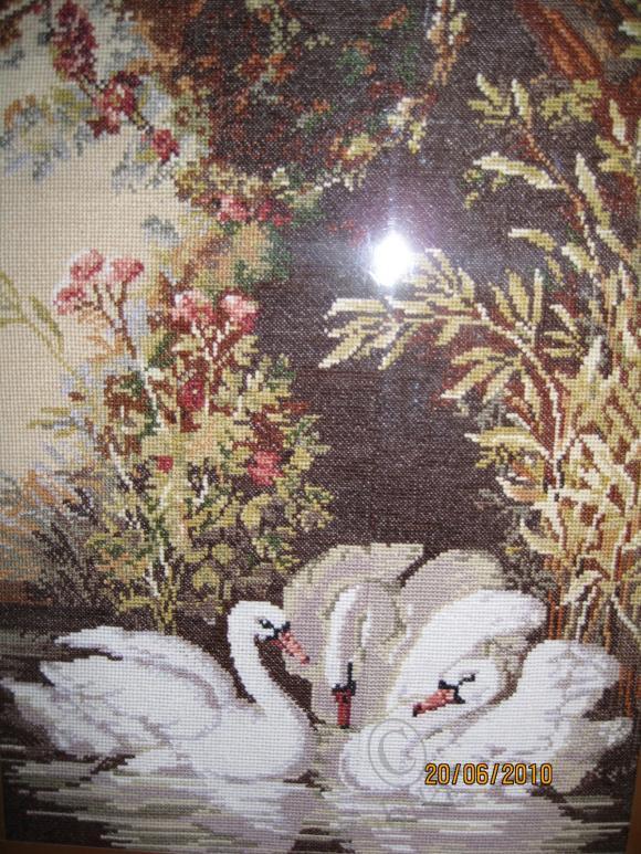 Моё рукотворчество — Другие хобби и увлечения: сад (фото 3)