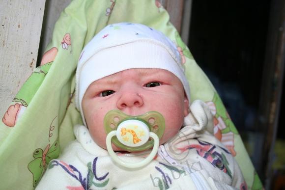 Один осенний день из жизни Арсения