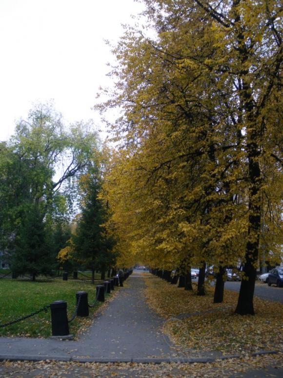 Несколько коротких мгновений, или Есть в осени первоначальной… | Бэйбики Несколько коротких мгновений, или Есть в осени первоначальной… (фото 8)