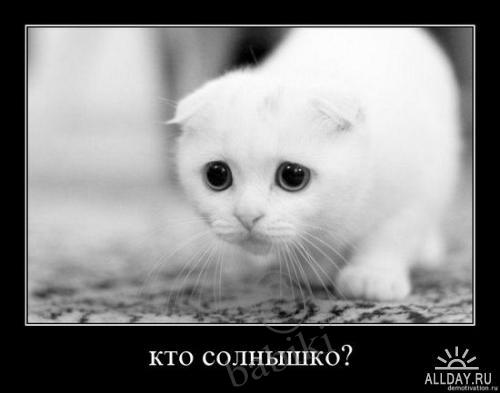 Позитифф!! Прибавила еще — Болталка и разговоры обо всем: жизнь (фото 10)
