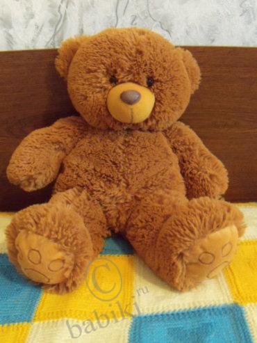 О нашем мишке тедди - Мишутка (фото 2)