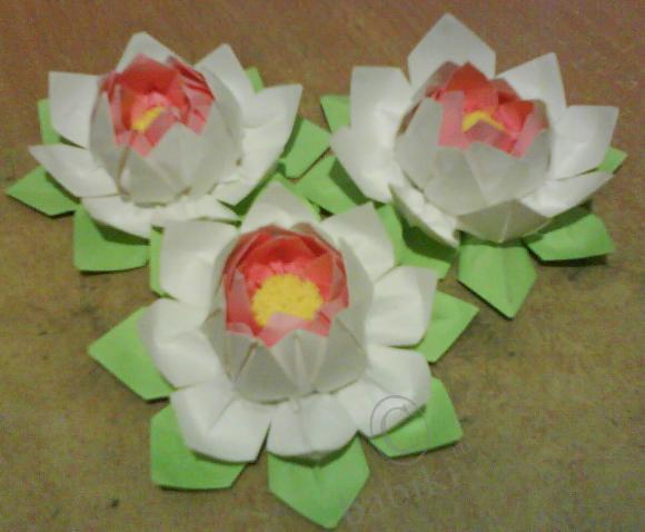 Цветочки из всего подряд — Другие хобби и увлечения: сад (фото 10)