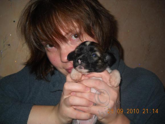 Мой сладкий БейБик Кэсси — Болталка и разговоры обо всем: жизнь