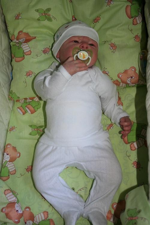 Один осенний день из жизни Арсения (фото 4)