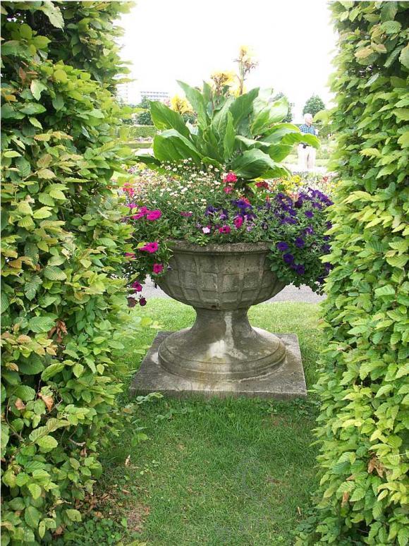 Кто сказал, что "МЫ не в СКАЗКЕ ЖИВËМ" (фото 8)