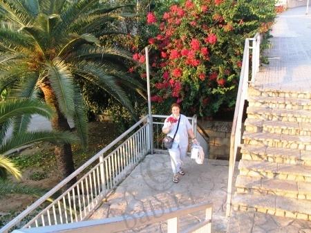 Пусть тебе приснится Пальма-де-Майорка