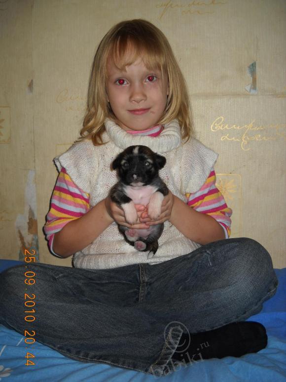 Мой сладкий БейБик Кэсси — Болталка и разговоры обо всем: жизнь