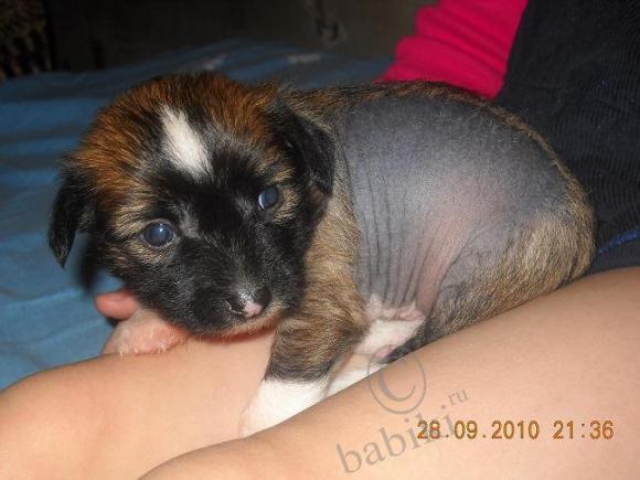 Мой сладкий БейБик Кэсси — Болталка и разговоры обо всем: жизнь