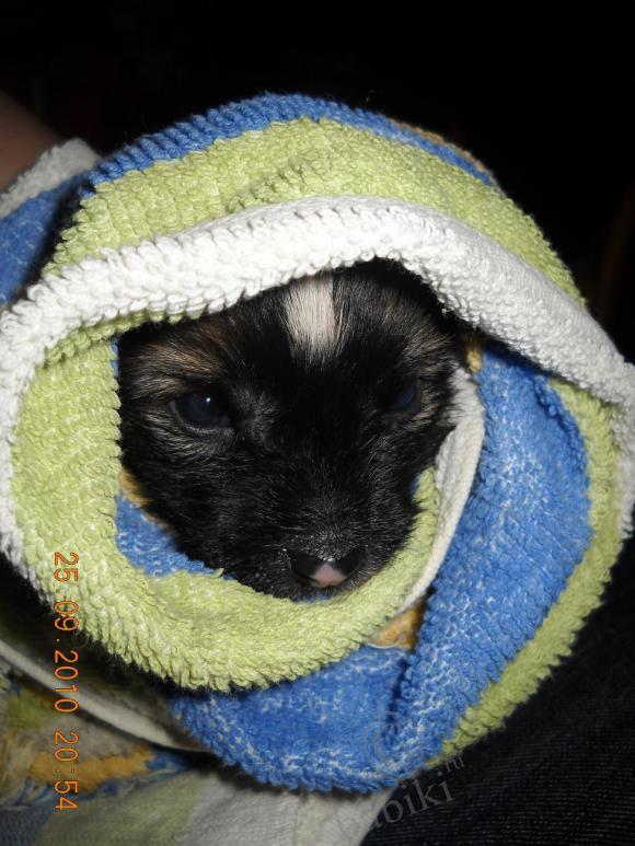 Мой сладкий БейБик Кэсси — Болталка и разговоры обо всем: жизнь