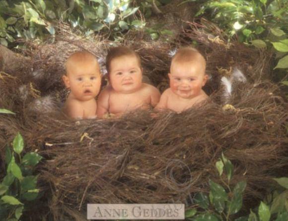 Anne Geddes, Анна Гедес - фото, открытки с детьми