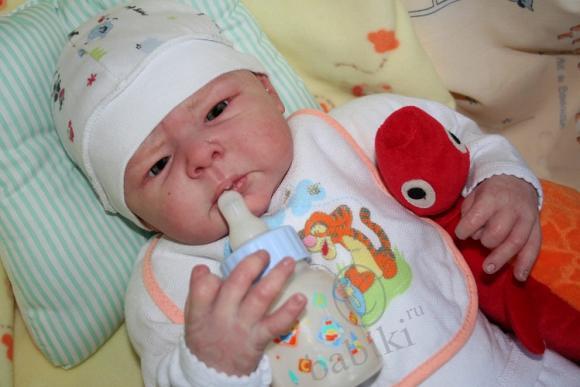 Один осенний день из жизни Арсения (фото 10)