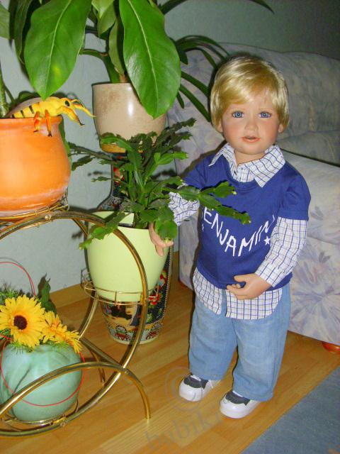 Красотень — Домашние коллекции кукол: фото собраний (фото 7)