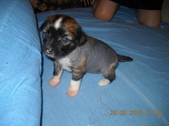 Мой сладкий БейБик Кэсси — Болталка и разговоры обо всем: жизнь