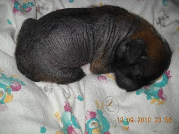 Мой сладкий БейБик Кэсси — Болталка и разговоры обо всем: жизнь (фото 6)