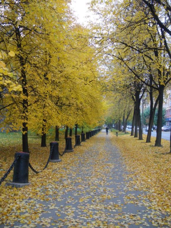 Несколько коротких мгновений, или Есть в осени первоначальной… | Бэйбики Несколько коротких мгновений, или Есть в осени первоначальной…