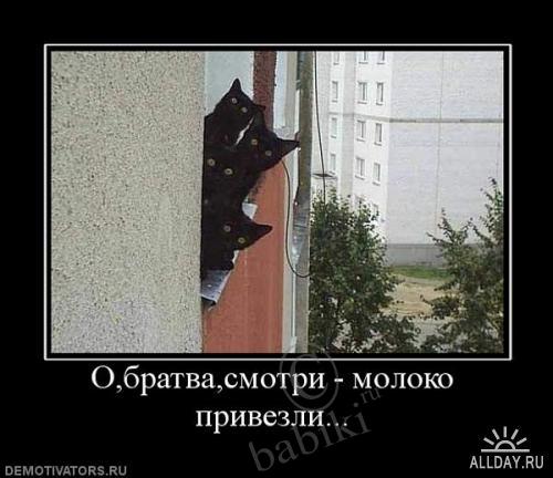 Позитифф!! Прибавила еще — Болталка и разговоры обо всем: жизнь