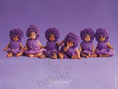 Немного об Анне Геддес и ее куклах. Anne Geddes dolls