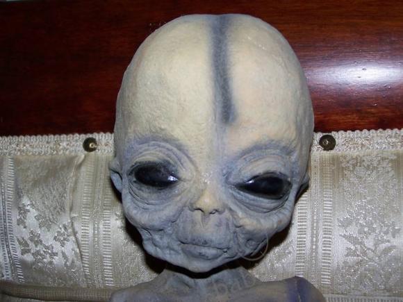 По-моему нас окружили пришельцы (фото 5)