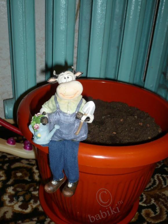 Моя коллекция фарфоровых кукол | Бэйбики Моя коллекция фарфоровых кукол (фото 6)