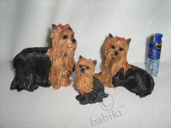 Вот такие крошки-собачки живут у меня (фото 2)