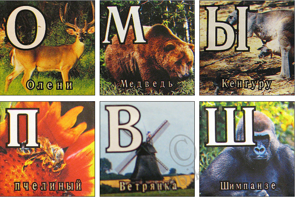 "Перфонтана". Вторжение близко | Бэйбики "Перфонтана". Вторжение близко