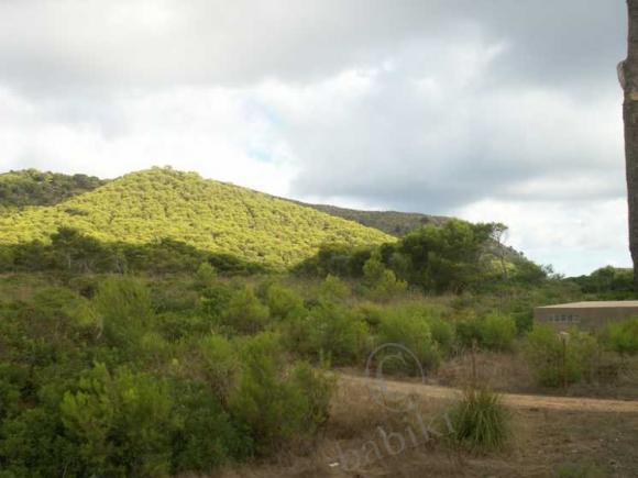 Еще раз о Майорке — Туризм и путешествия: фотоотчеты из поездок