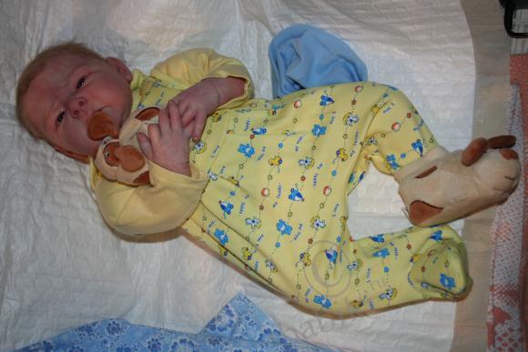 Сбылась моя самая большая мечта - у меня появился малыш реборн Сенечка (фото 4)