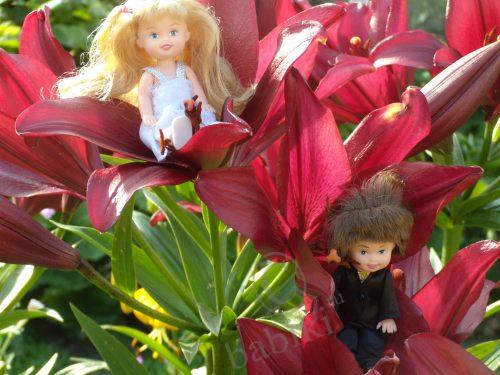 Наши Настя и Саша... и не только (фото 4)