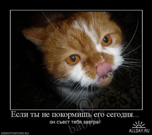 Позитифф!! Прибавила еще — Болталка и разговоры обо всем: жизнь