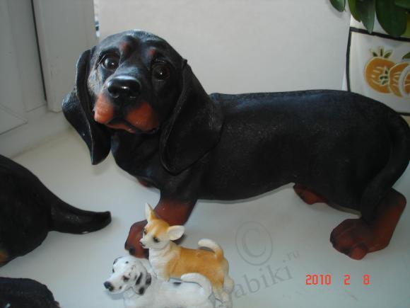 Вот такие собачки живут у меня дома (фото 2)