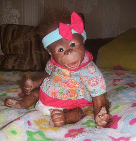 Обезьяномания :) Чита и компания (фото 2)