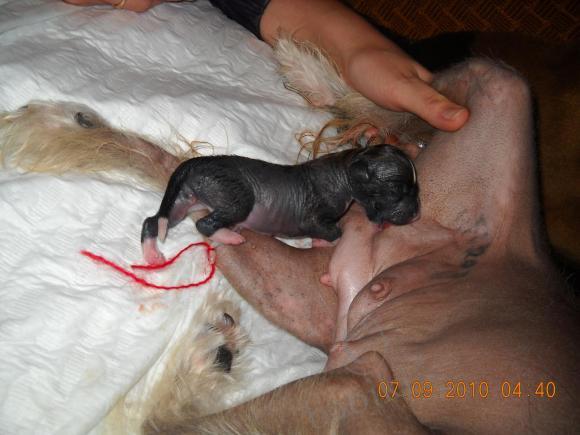 Мой сладкий БейБик Кэсси — Болталка и разговоры обо всем: жизнь