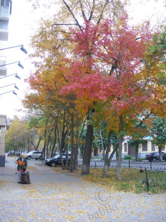 Несколько коротких мгновений, или Есть в осени первоначальной… | Бэйбики Несколько коротких мгновений, или Есть в осени первоначальной…