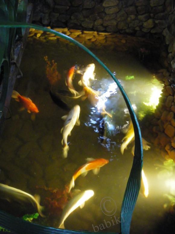 Где находится НОФЕЛЕТ? Часть первая. Кулинарное путешествие Айбулата в Уфу