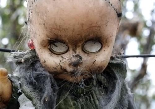 Остров мертвых кукол. La Isla de la Munecas (фото 10)