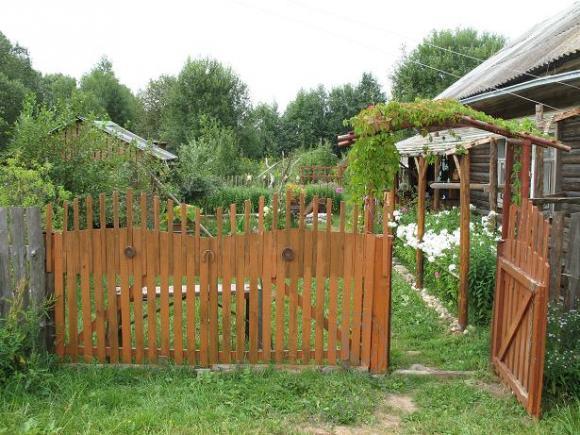 Приглашаю всех в гости ко мне на дачу (фото 4)