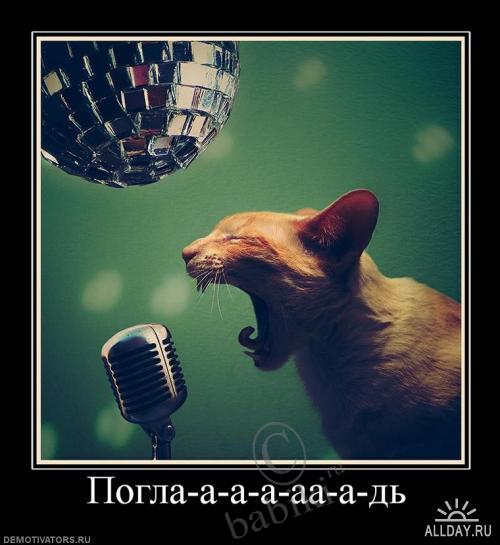 Позитифф!! Прибавила еще — Болталка и разговоры обо всем: жизнь