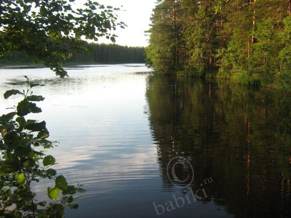 И снова мы и наши пейзажи (мои малыши реборн ) | Бэйбики И снова мы и наши пейзажи (мои малыши реборн ) (фото 10)