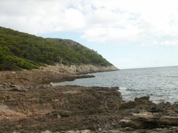 Еще раз о Майорке — Туризм и путешествия: фотоотчеты из поездок