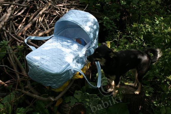 Мама сшила мне кровать, буду в ней теперь гулять (фото 4)