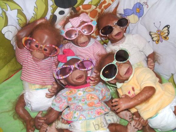 Обезьяномания :) Чита и компания (фото 5)