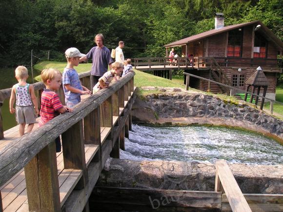 Путешествие в Литву — Туризм и путешествия: фотоотчеты из поездок (фото 3)