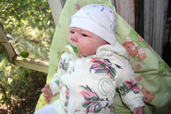 Один осенний день из жизни Арсения