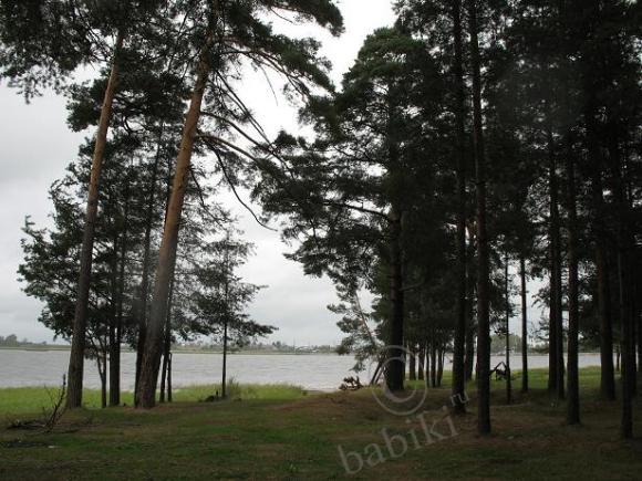 Летнее путешествие по "Русской Венеции" (фото 6)