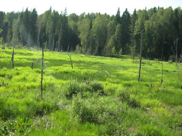 Путешествие в прошлое и наша Веронька (фото 7)