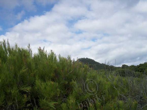 Еще раз о Майорке — Туризм и путешествия: фотоотчеты из поездок