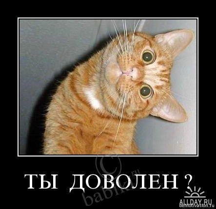 Позитифф!! Прибавила еще — Болталка и разговоры обо всем: жизнь