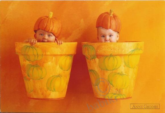 Anne Geddes, Анна Гедес - фото, открытки с детьми (фото 2)